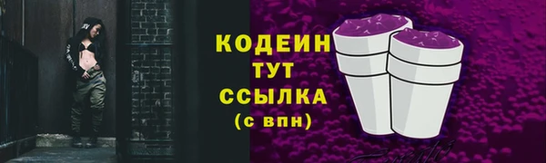 мяу мяу мука Инта